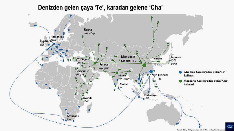 İki Çayın Kökeni ve Güvenilir Püf Noktaları [Uzman Rehber 2026] - Kapak Görseli