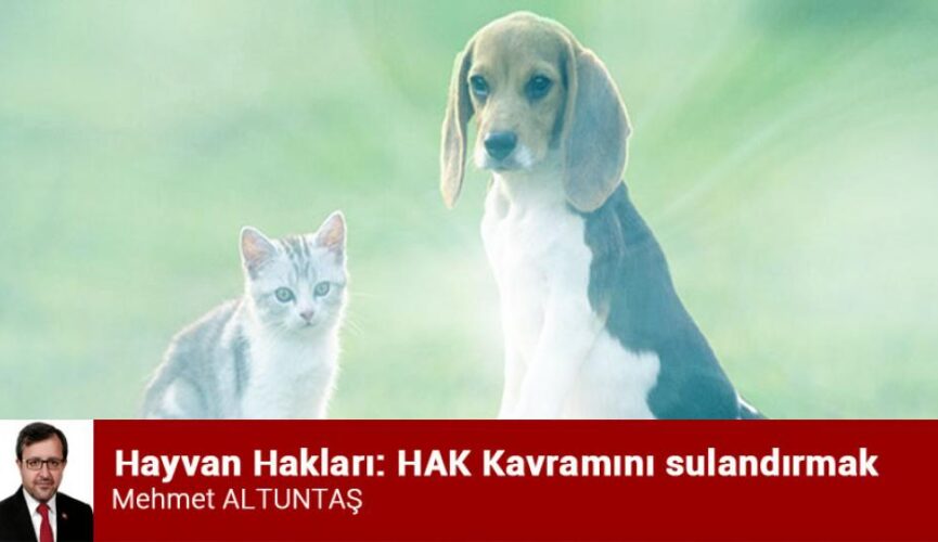 Sulandırma Kavramının Gizli Püf Noktaları ve Uzman İpuçları [2026] - Kapak Görseli